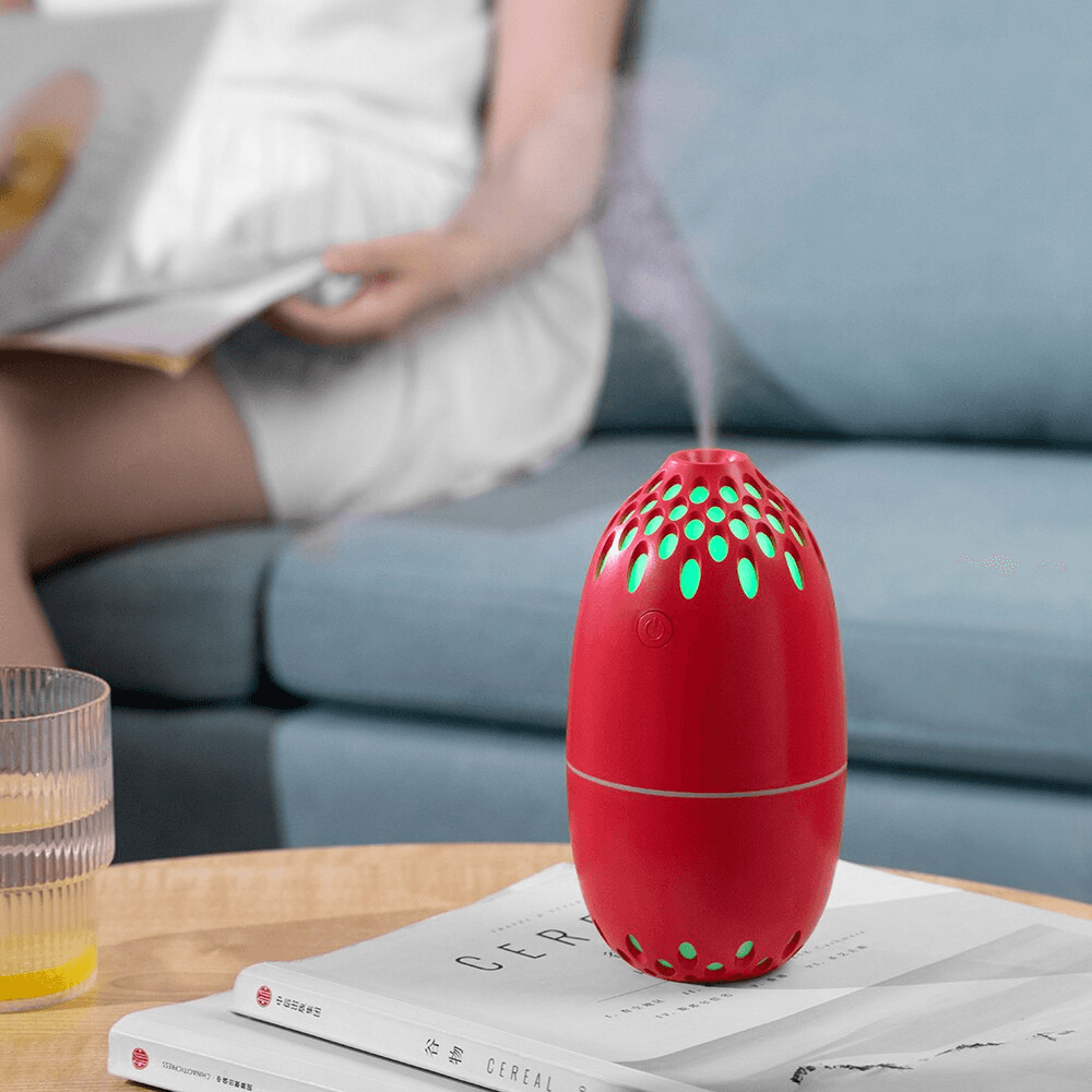 Cool Air Mist Humidifier