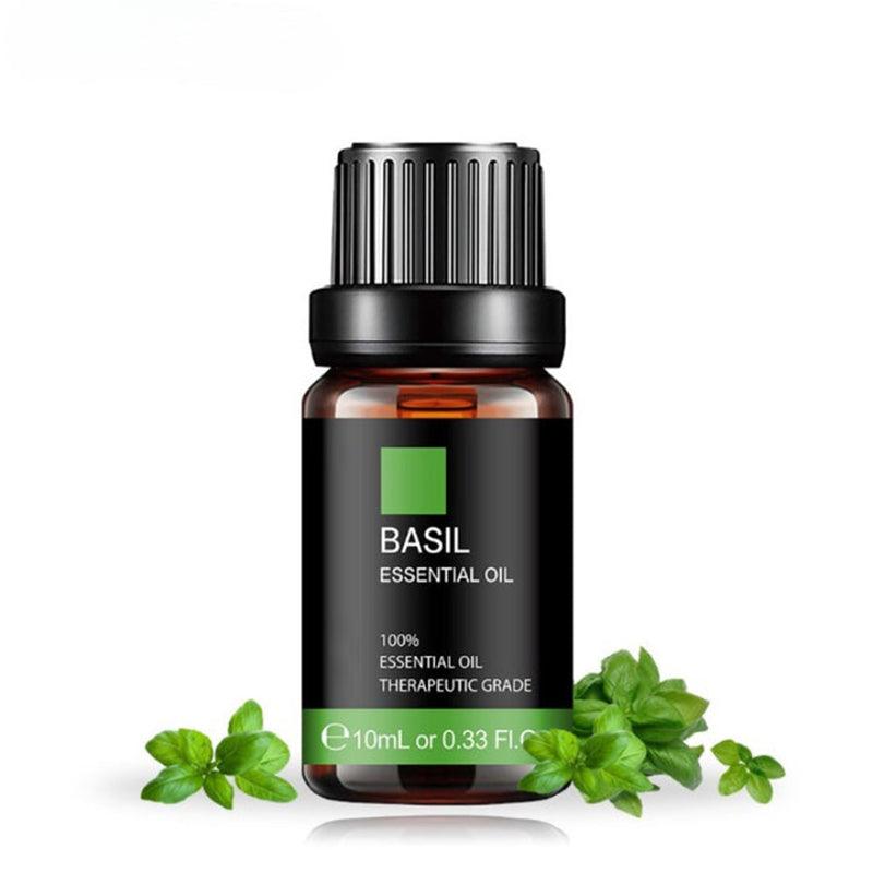 Pure Basil Essential Oil Fresh Invigorating Aroma for Mind and Body