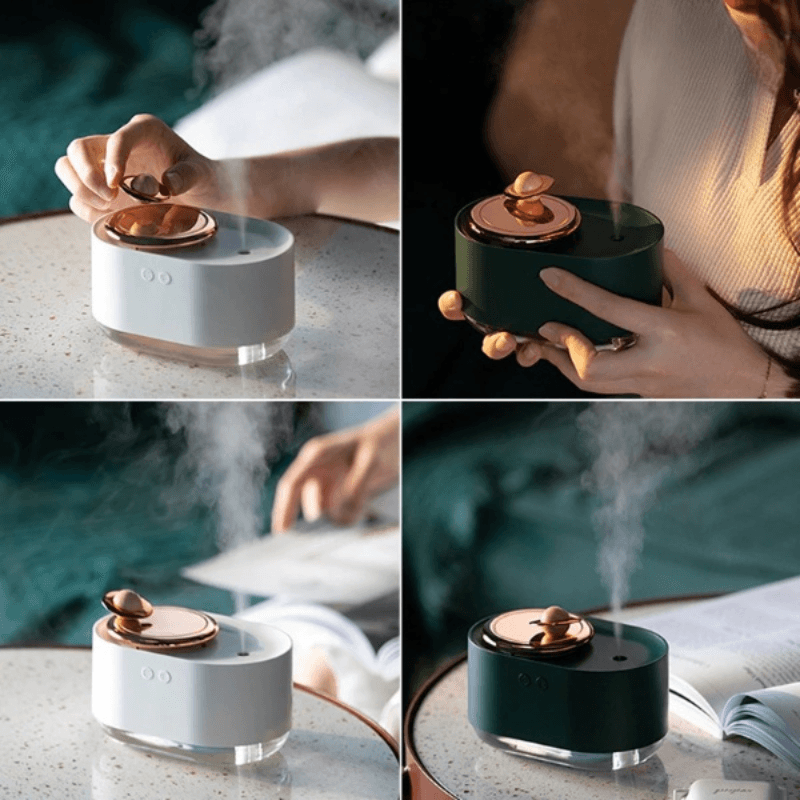 Rotating Plane Wireless Air Humidifier 300ml Aroma Diffuser