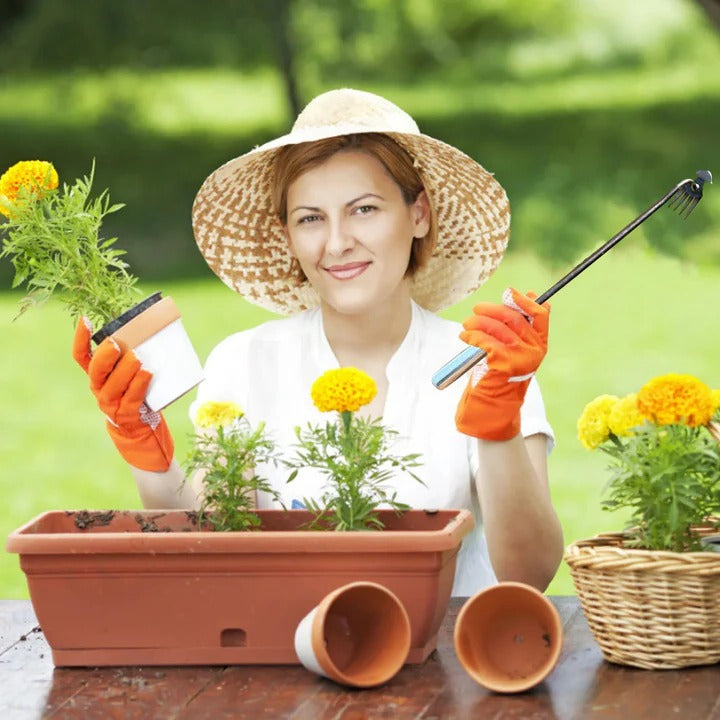 Crescent Weeder Tool with Long Handle