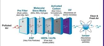 Air Purifier vs Humidifier: The Ultimate Comparison Guide (2025)