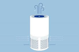 What Is Better for Allergies Humidifier or Air Purifier