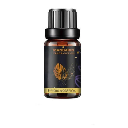Sea Breeze Essential Oil Humidifier For Everyday Use