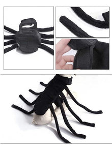 Arachnopup Halloween Dog Spider Costume