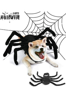 Arachnopup Halloween Dog Spider Costume