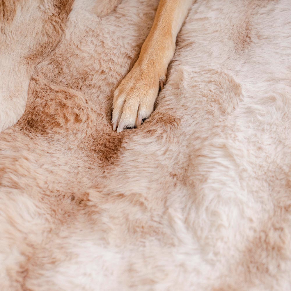 푹신하고 아늑한 반려동물 담요 자동차 시트 보호 커버 - 슈어스텝 