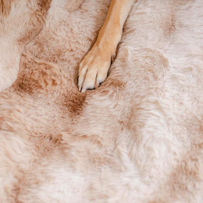 푹신하고 아늑한 반려동물 담요 자동차 시트 보호 커버 - 슈어스텝 