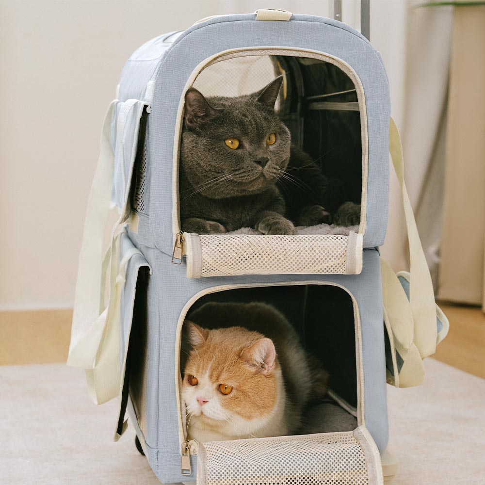 Double-Layer Spacious Multi-Cat Travel Rolling Pet Carrier Bag with Wheels