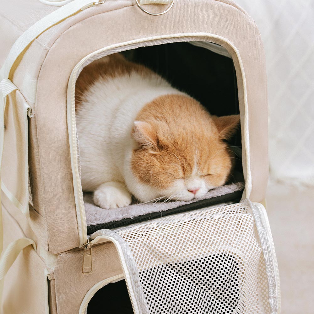 Double-Layer Spacious Multi-Cat Travel Rolling Pet Carrier Bag with Wheels