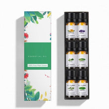10ml Essential Oils Gift Set of 6 Pieces Premium Quality Oils