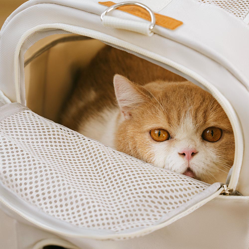 Double-Layer Spacious Multi-Cat Travel Rolling Pet Carrier Bag with Wheels