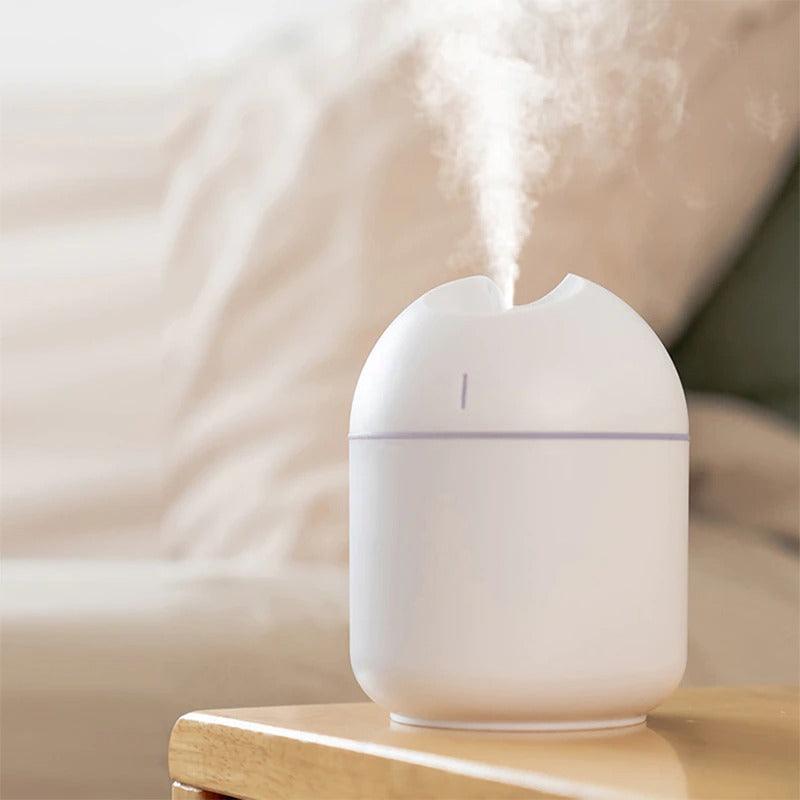 Mini USB Air Humidifier With 250 ML Tank And Low Noise
