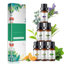 10ml Essential Oils Gift Set of 6 Pieces Premium Quality Oils