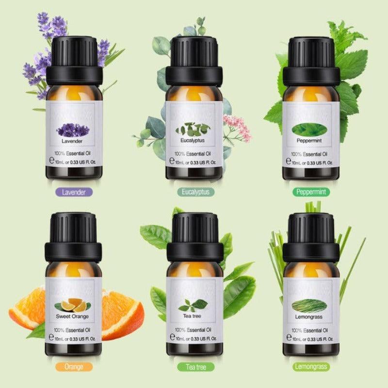 10ml Essential Oils Gift Set of 6 Pieces Premium Quality Oils