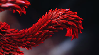 One Piece - Eustass Kid | 1:6 Resin Statue | von LX Studio