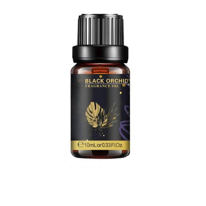 Sea Breeze Essential Oil Humidifier For Everyday Use