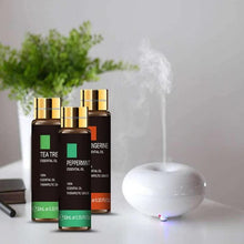 37 Flavor 10ml Essential Oils With Dropper
