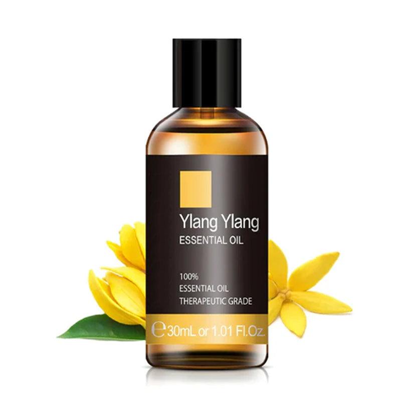 3 Pack Natural Fragrances Essential Oils