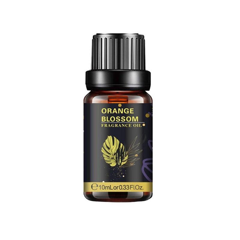 Sea Breeze Essential Oil Humidifier For Everyday Use