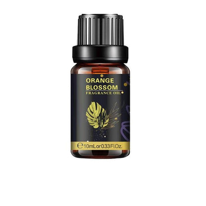 Sea Breeze Essential Oil Humidifier For Everyday Use