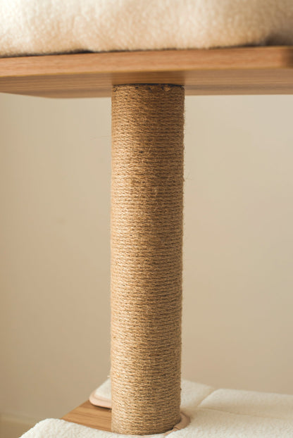 Cedar