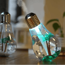 Color Changing Bulb Air Humidifier To Enhance The Space