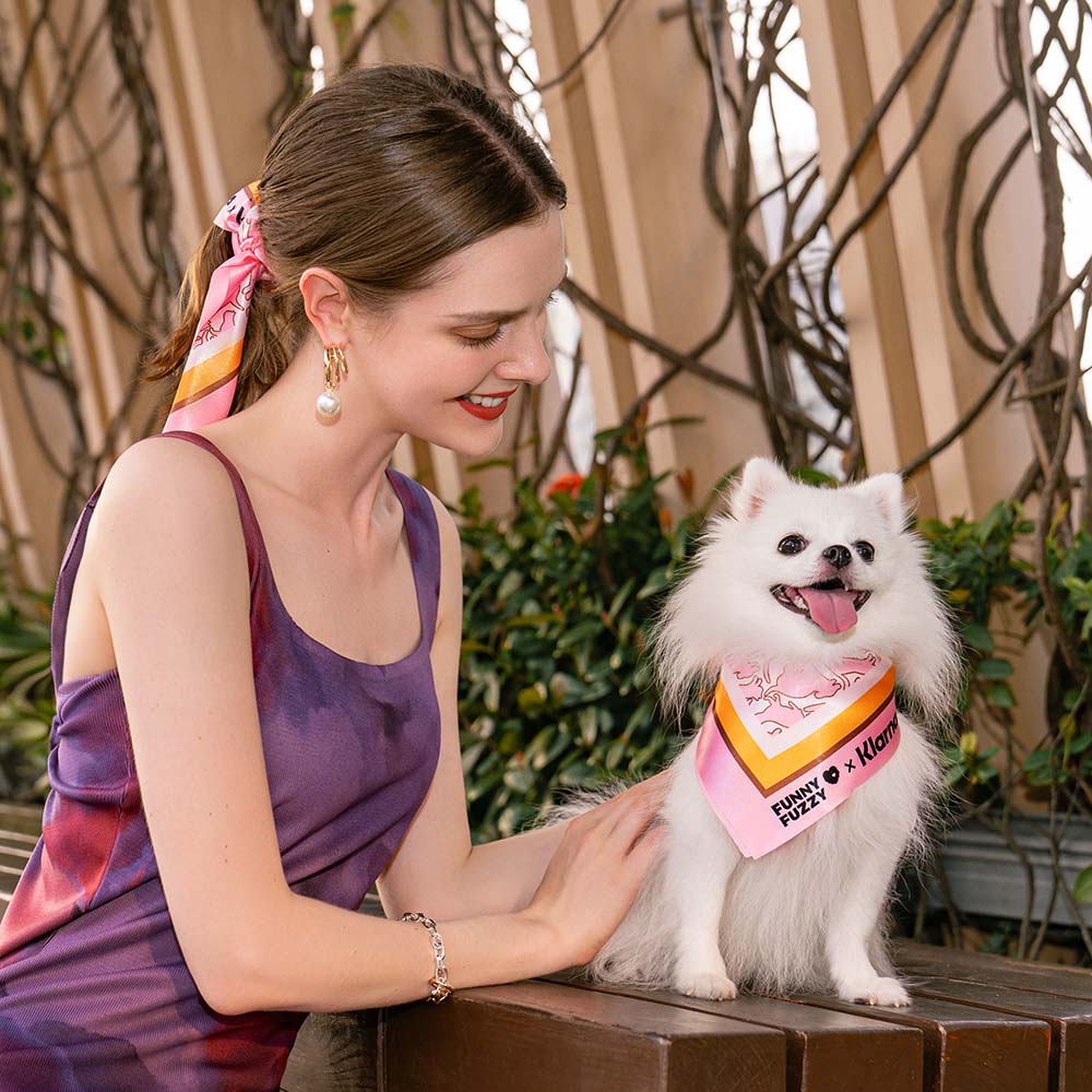 FUNNYFUZZY X Klarna 여행용 안전 대형견용 카시트 침대