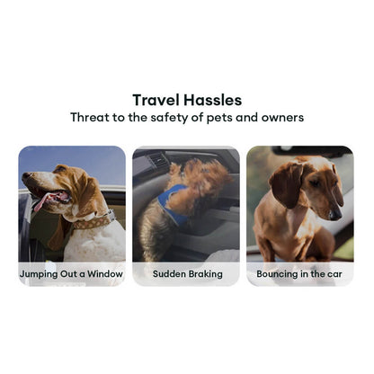 Gradient Elastic Shock-Absorbing Pet Car Safety Belt