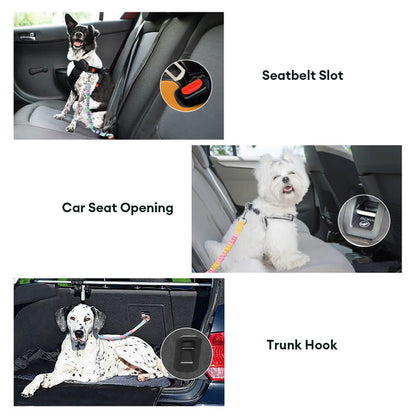 Gradient Elastic Shock-Absorbing Pet Car Safety Belt