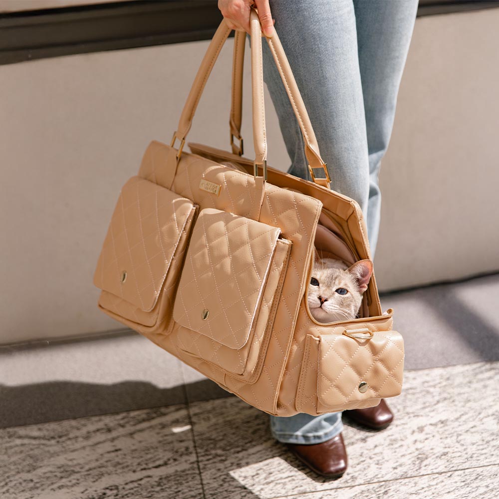 Large Carrying Stylish Multi-Functional Human-Cat Shared Travel Cat Bag - Wandering Tail