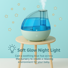 Ultrasonic Cool Mist Humidifier