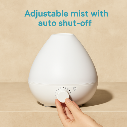 3 In 1 Humidifier With Diffuser And Nightlight