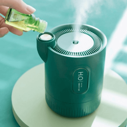 Portable  Air Humidifier With Ultrasonic Cactus Battery 330ml