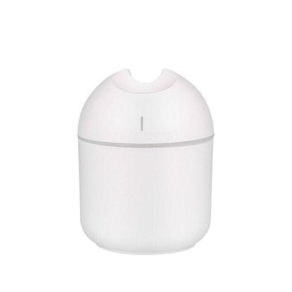 Mini USB Air Humidifier With 250 ML Tank And Low Noise