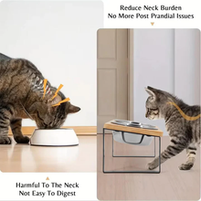 Elevated Cat Bowl