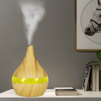 USB Essential Oil Humidifier