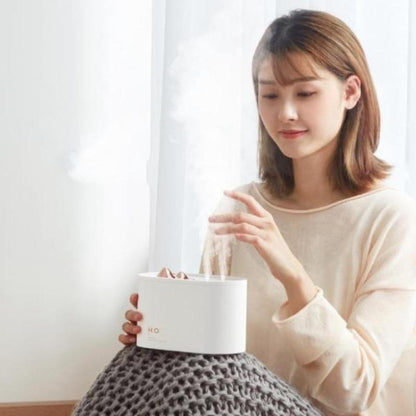 Double Spray Wireless Humidifier