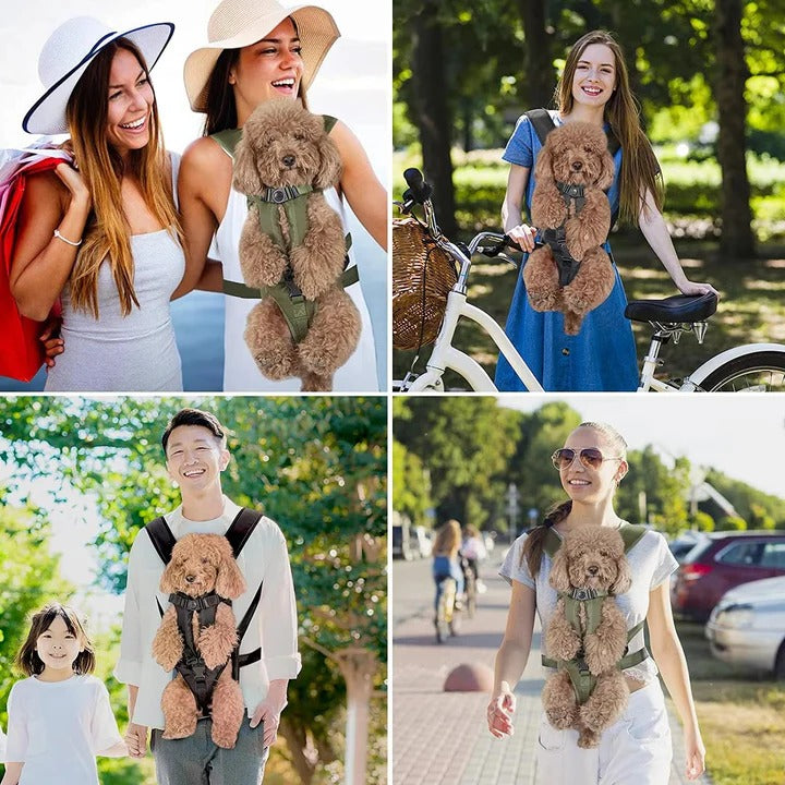 Dog Carrying Backpack