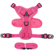 Reflective Cat Harness and Leash Set