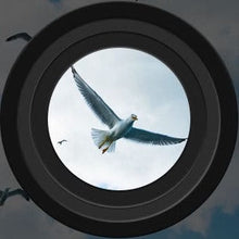 Long-range night vision binoculars