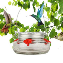 Clear Flower Port Hummingbird Feeder