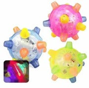 New Jumping Activation Ball For Dogs