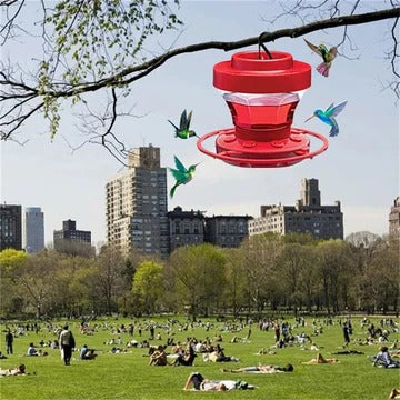 Hanging Bee Proof Hummingbird Water Feeders with Perch