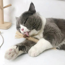 Natural Silvervine Cat Chew Toy