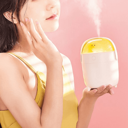 Mini Aromatherapy Air Humidifier