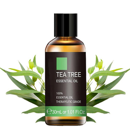30ml Tea Tree Essential Oil With Pure and Natural Extract